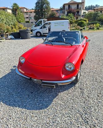 Alfa romeo Duetto