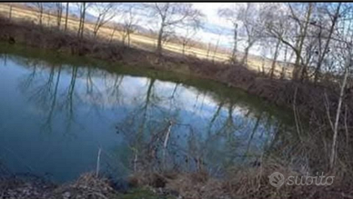 Rustico più terreno