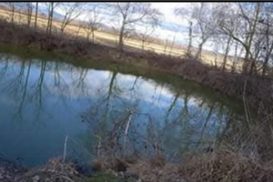 Rustico più terreno