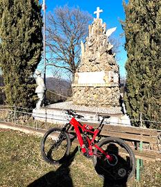 Specialized turbo levo sl XL