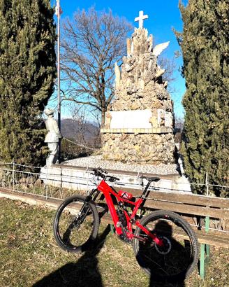 Specialized turbo levo sl XL