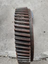 Campane frizione Guzzi Airone 