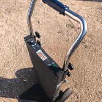 Carrello elettrico saliscale 250kg