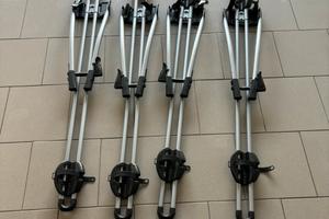 Coppia Portabici tetto