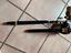 Immagine 4