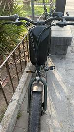 Bicielettrica