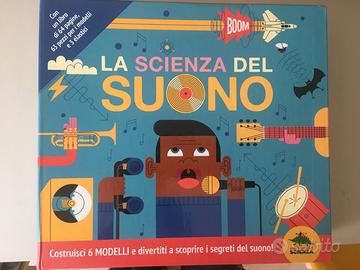 Gioco la scienza del suono citta del sole