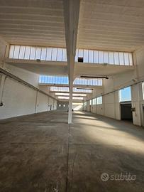 Capannone artigianale