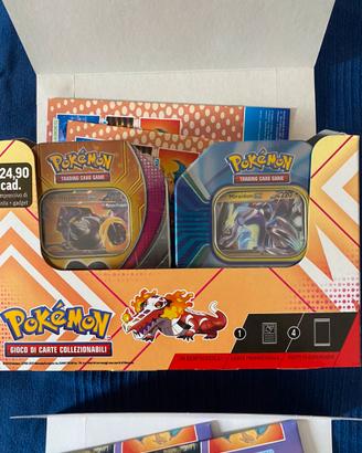 Lotto pokemon