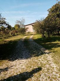 Capannone artigianale mortegliano vicinanze