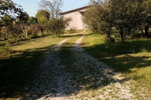 Capannone artigianale mortegliano vicinanze