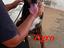 Immagine 1