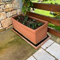 Vasi / fioriera / portafiori