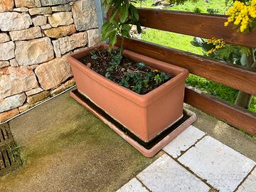 Vasi / fioriera / portafiori