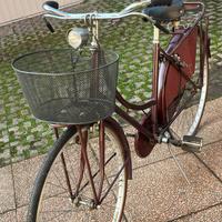 bicicletta donna Holland