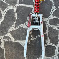 Forcellone + ammortizzatore posteriore,