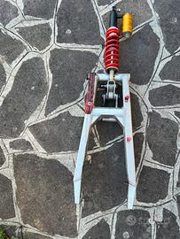 Forcellone + ammortizzatore posteriore,