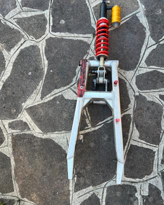 Forcellone + ammortizzatore posteriore,