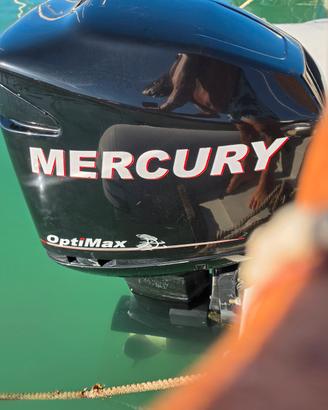 mercury optimax 200 225