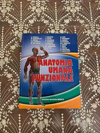 Anatomia umana funzionale