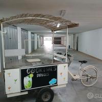 Bicicletta elettrica con carrello
