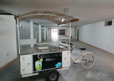 Bicicletta elettrica con carrello