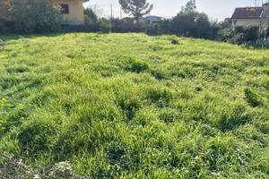 Terreno agricolo 1000 mq circa s.m. la stella