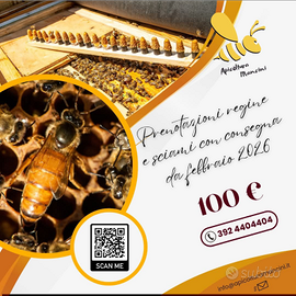 Sciami ape ligustica