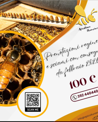 Sciami ape ligustica