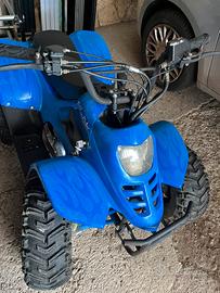 Quad 110cc prezzo trattabile