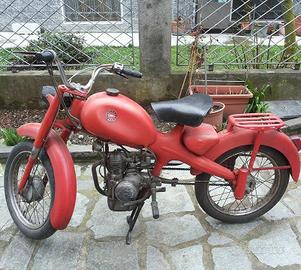 Motom 48