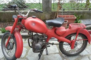 Motom 48