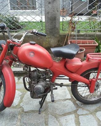 Motom 48