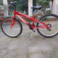 Bicicletta Redmoon ruota24