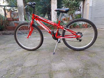Bicicletta Redmoon ruota24
