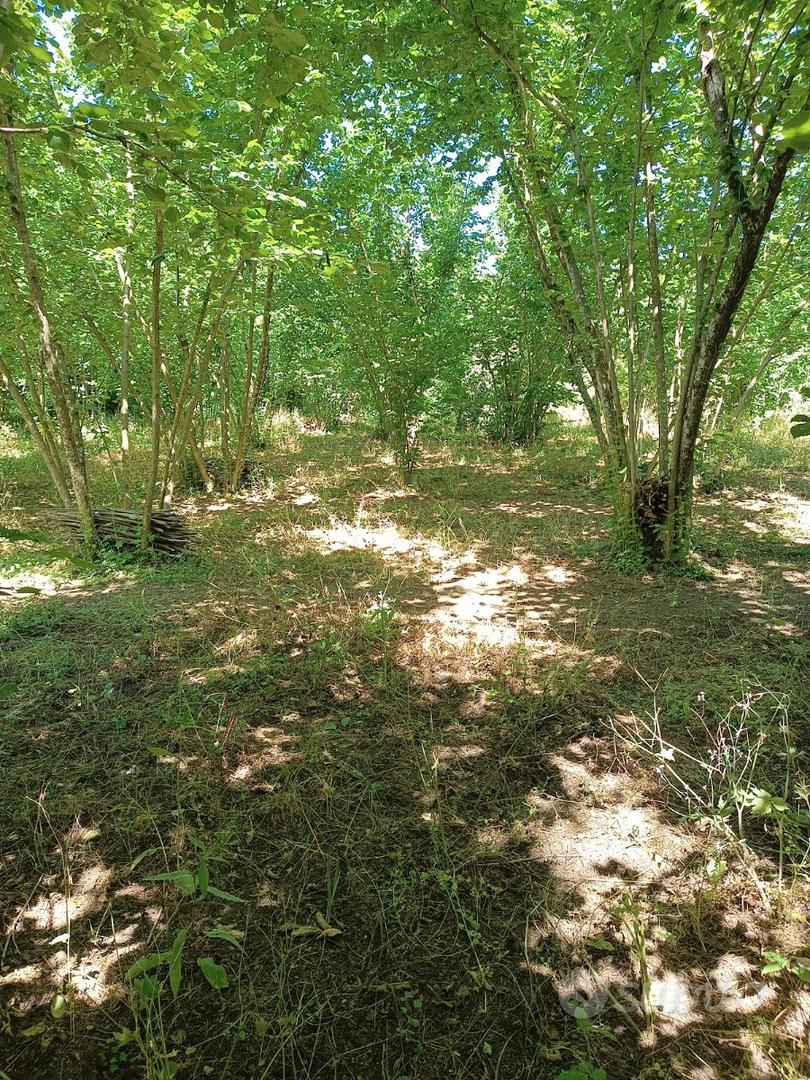 Terreno agricolo - Vista 2