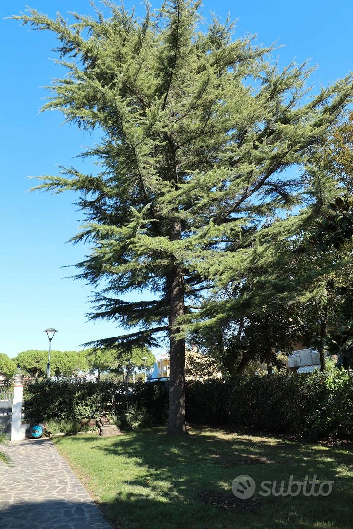 House in Caorle - Vista 6