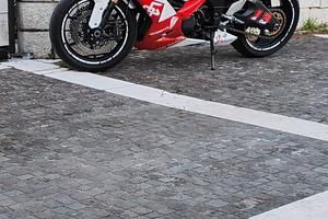 Kawasaki 1000