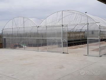 Tunnel serra, stalle fungaia