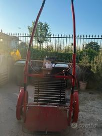 King calesse in legno per cavalli