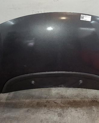 COFANO ANTERIORE FIAT 500 L Serie (351_352) 168978