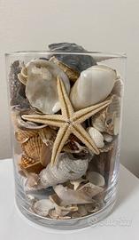 Vaso con conchiglie