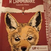 Libro Continua a camminare di Gabriele Clima
