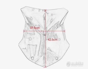 Cupolino medio BMW R1250GS
