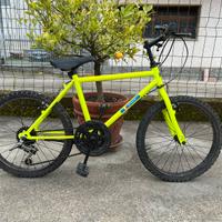 Bicicletta 20”