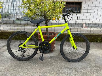 Bicicletta 20”