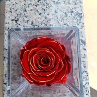 Vaso in vetro con Rosa