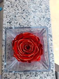 Vaso in vetro con Rosa