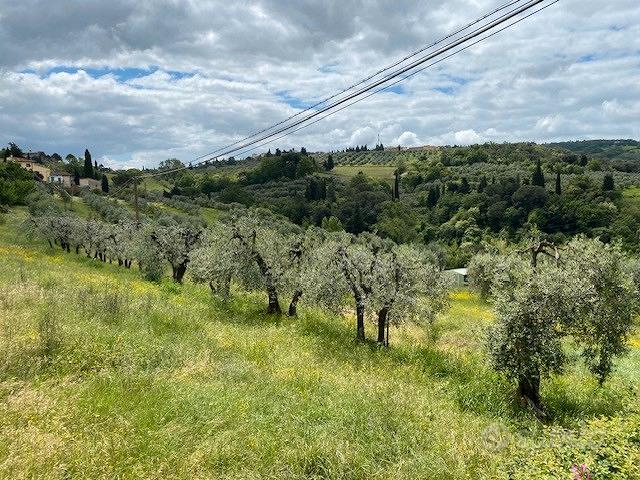 Terreno Agricolo Gambassi Terme - Altro