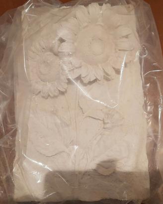 Girasoli nuovi da dipingere